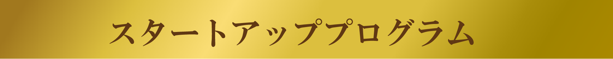 スタートアッププログラム